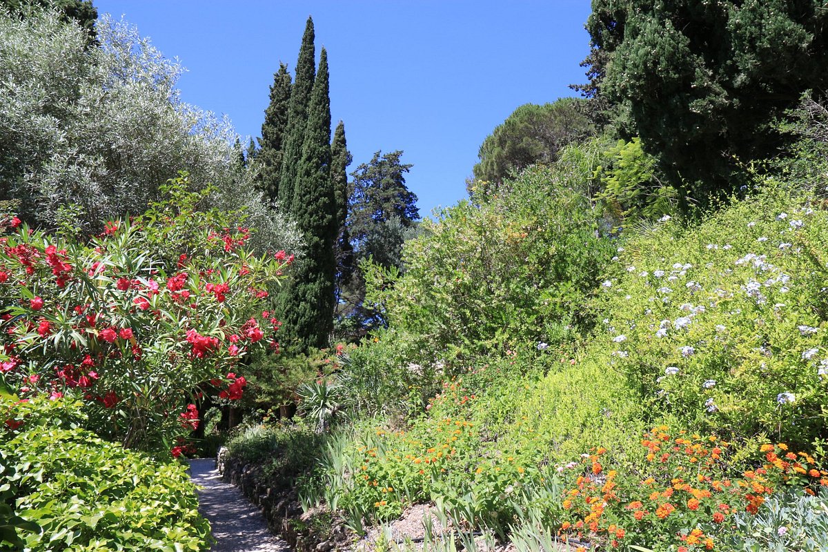 Jardin mditerranen du parc St Bernard  Hyres